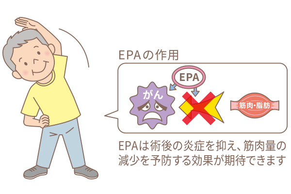 EPAの作用 EPAは術後の炎症を抑え、筋肉量の減少を予防する効果が期待できます