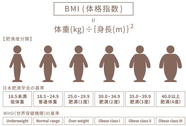 BMI（体格指数）= 体重（Kg）÷｛身長（m）｝2
