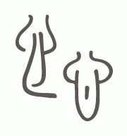 漢字「心」の象形文字2種心臓をかたどっている(白川静:字統, 平凡社, 467, 1994より)