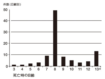 新生児破傷風が「sickness of eight days」と呼ばれる理由