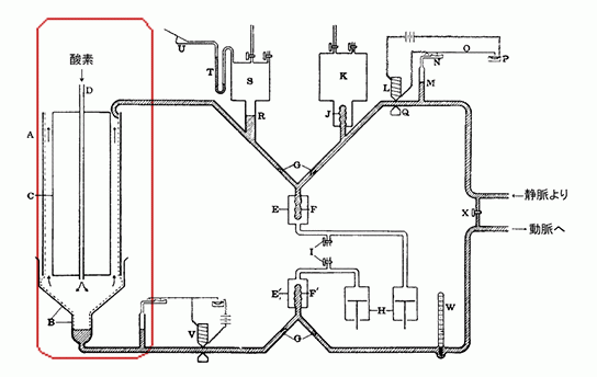 最初のギボン人工心肺装置（模式図）